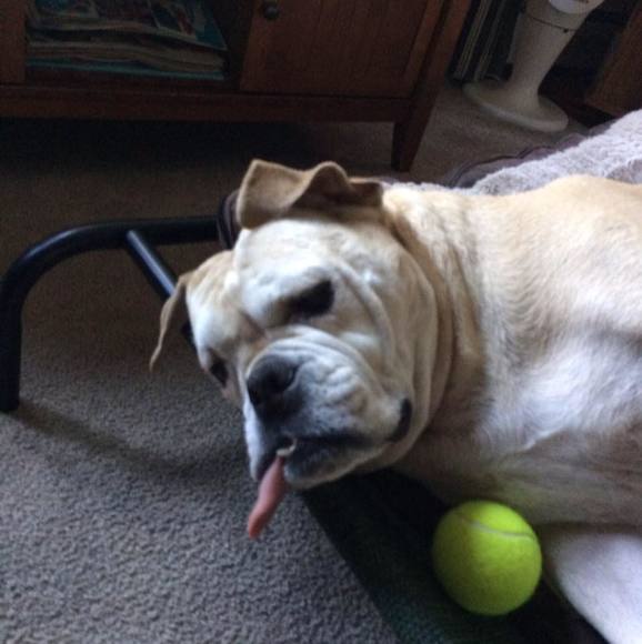 Meet your Posher, Nancy - Picture 1 of 1